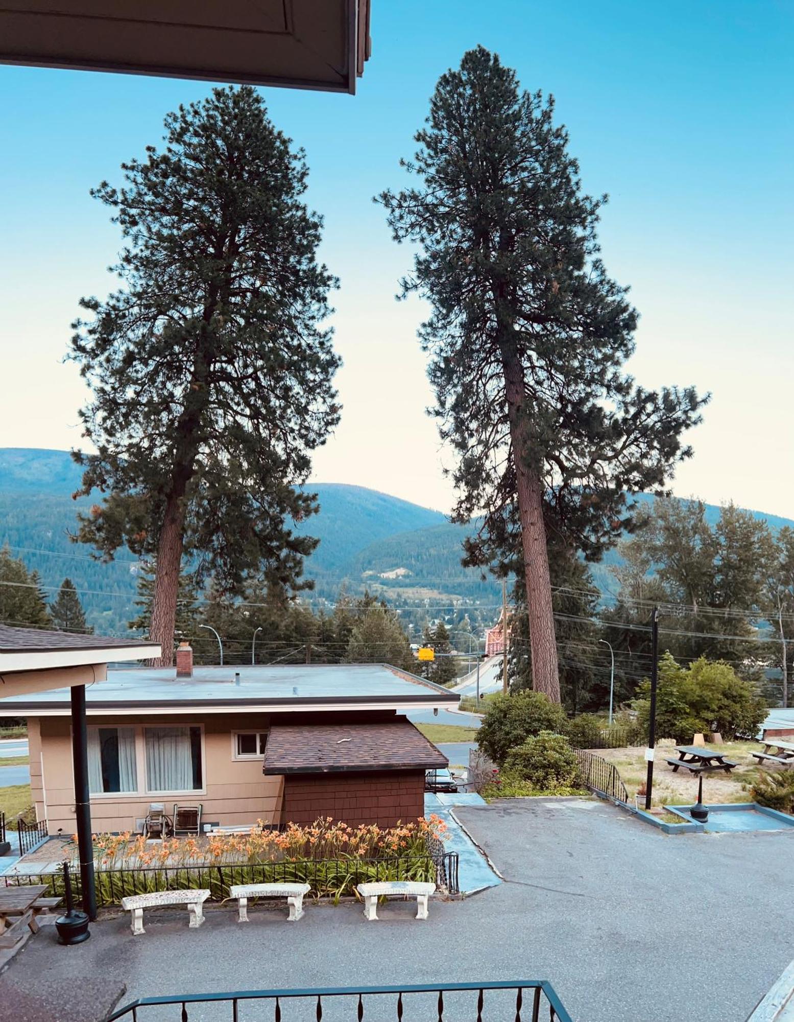 Villa Motel Nelson Luaran gambar